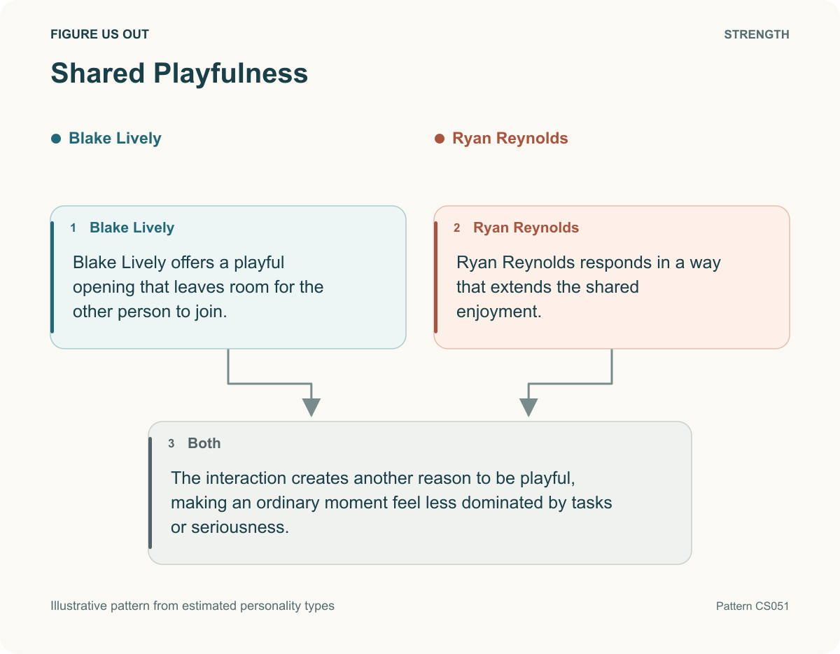 Shared Playfulness