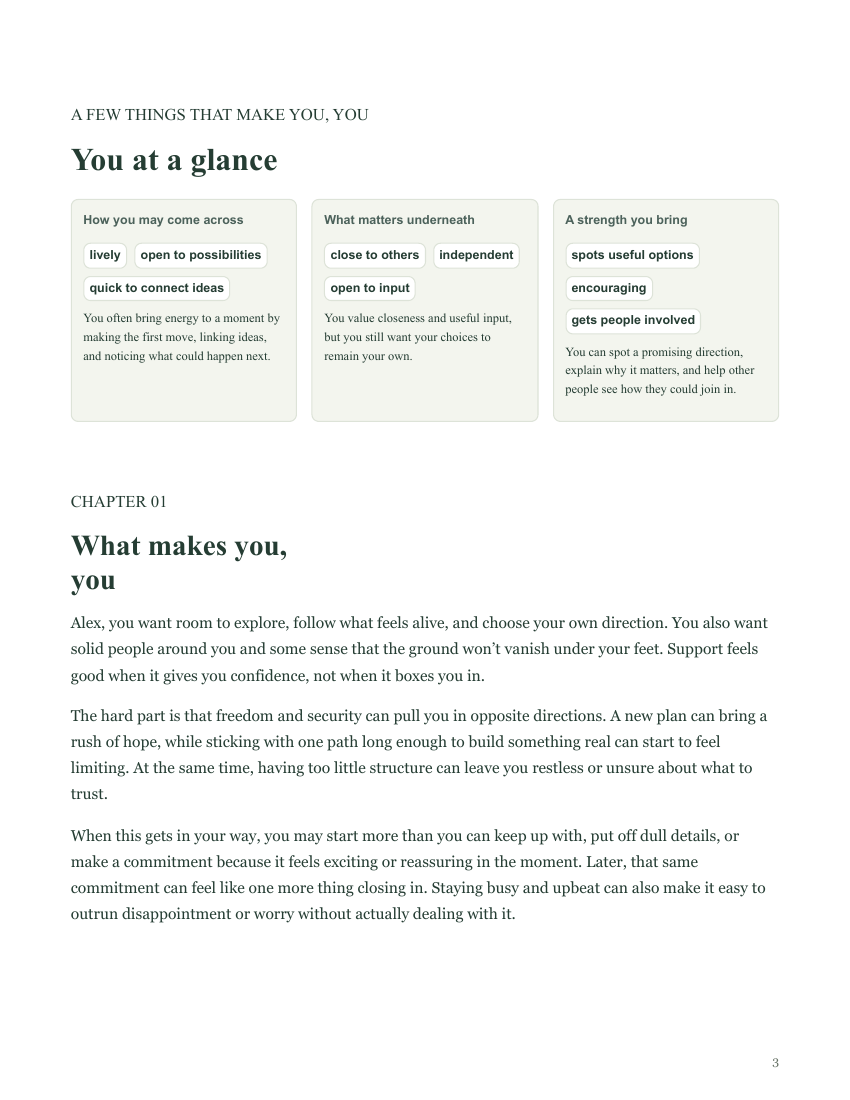 A page from Alex’s report showing his personality at a glance and what makes him who he is